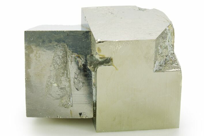 Shiny, Natural Pyrite Cube Cluster - Navajun, Spain #361910